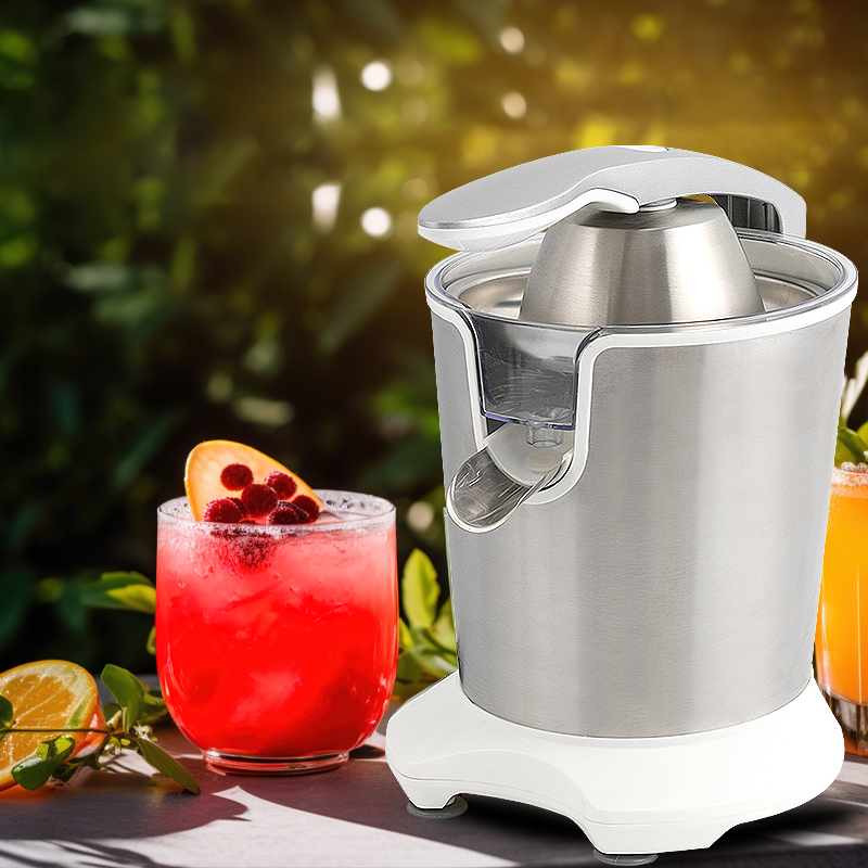 Stainless Steel Electric Juicer for Orange